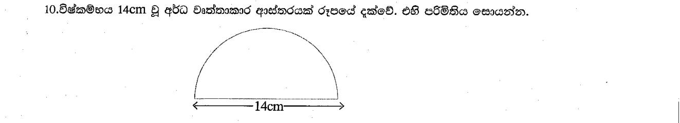 Paper I Part A Q10: Perimeter of a semicircular mat