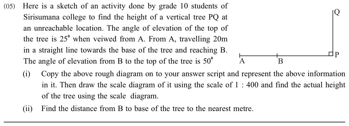 Paper II Part A Q5: Scale drawing with two angles of elevation to find a tree's height