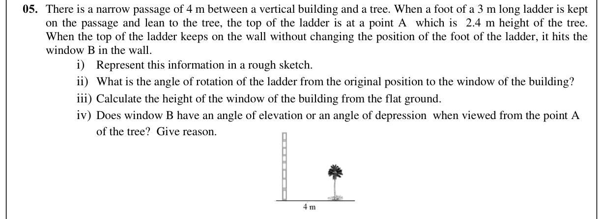 Paper II Part A Q5: Ladder between tree and building; rotation and heights
