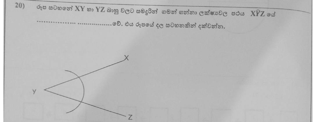 Paper I Part A Q20: Locus equidistant from two lines: angle bisector, sketched