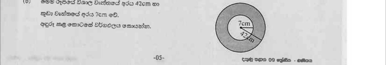 Paper II Part A Q4(b): Area of a ring between two concentric circles
