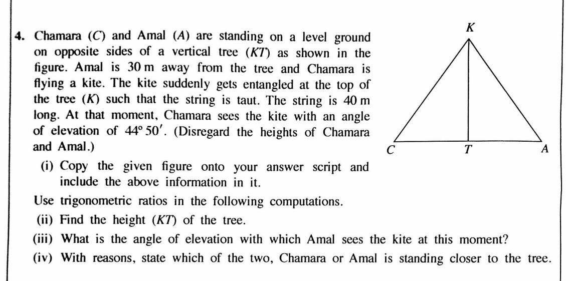 Paper II Part A Q4: Height of a tree from a kite string; Amal's elevation angle; who is closer